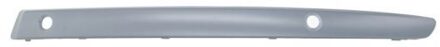 BMW Sier- / beschermingspaneel, bumper 5703050085925Q
