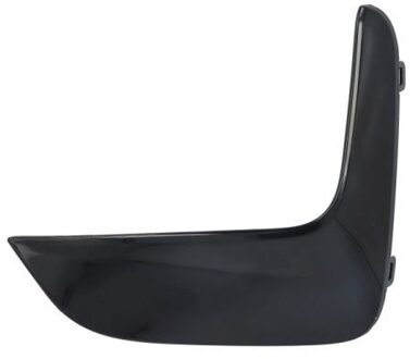 BMW Sier- / beschermingspaneel, bumper 6502070064926P