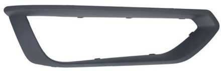 BMW Sier- / beschermingspaneel, bumper 6502070069931P