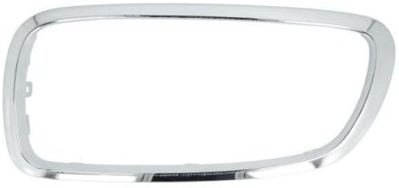 BMW Sier- / Beschermingspaneel, radiateurgrille 6502070076995P