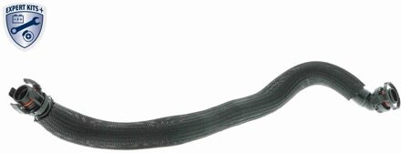 BMW slang carterontluchting V202327