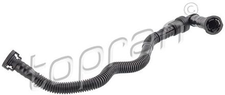 BMW Slang, cilinderkopontluchting 502766