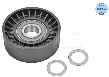 BMW Spanrol, Poly V-riem 3009031108