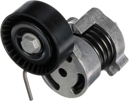 BMW Spanrol, Poly V-riem T39010