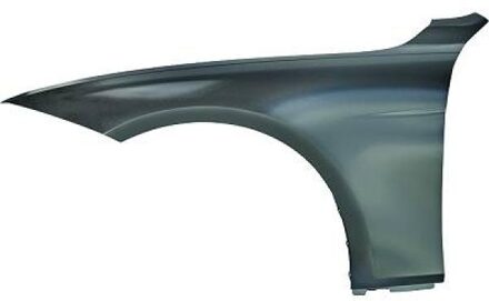 BMW Spatbord 1217006