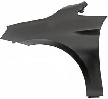 BMW Spatbord 1240007