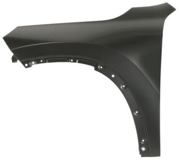 BMW Spatbord 6504040024311P