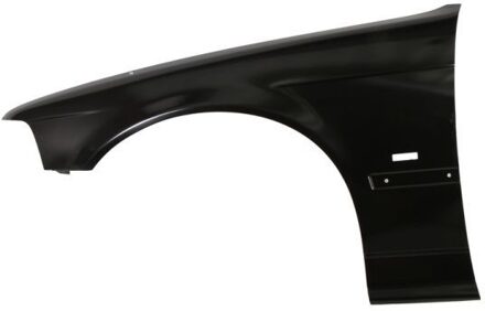 BMW Spatbord 65040400603115P