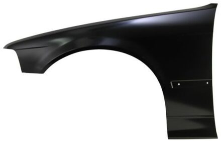 BMW Spatbord 6504040060311P