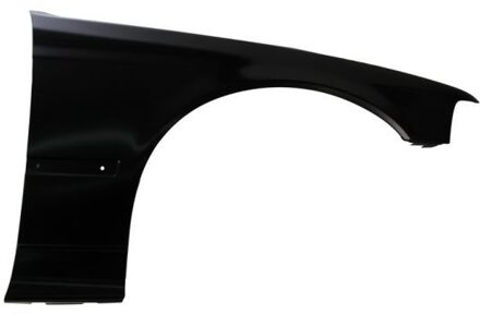 BMW Spatbord 6504040060312P