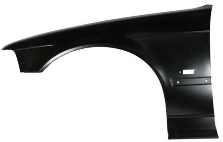 BMW Spatbord 6504040060313Q