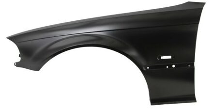 BMW Spatbord 6504040061313P