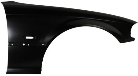 BMW Spatbord 6504040061314P