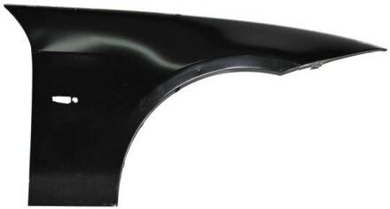 BMW Spatbord 6504040062312P