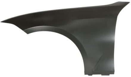 BMW Spatbord 6504040064311AP