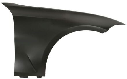 BMW Spatbord 6504040064312AP