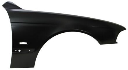 BMW Spatbord 6504040065312P