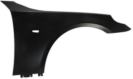 BMW Spatbord 6504040066314P