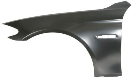 BMW Spatbord 6504040067311AQ