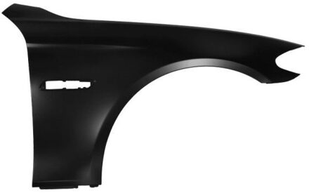 BMW Spatbord 6504040067312AQ