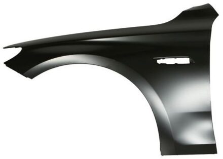 BMW Spatbord 6504040067313P