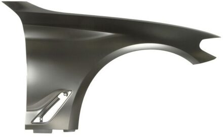 BMW Spatbord 6504040068312P