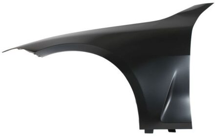 BMW Spatbord 6504040070315P