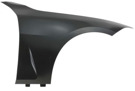 BMW Spatbord 6504040070316P