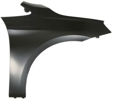 BMW Spatbord 6504040071312P