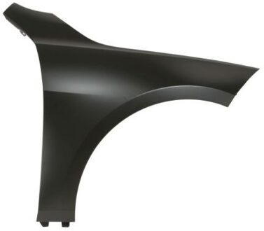 BMW Spatbord 6504040073312P