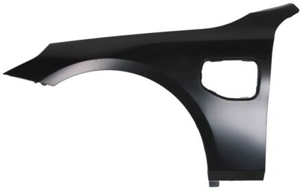 BMW Spatbord 6504040074313P