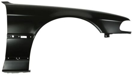 BMW Spatbord 6504040075312P