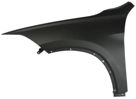 BMW Spatbord 6504040082311P