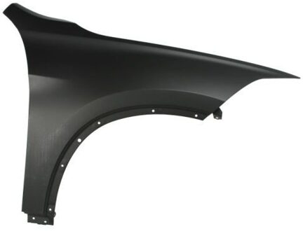 BMW Spatbord 6504040082312P