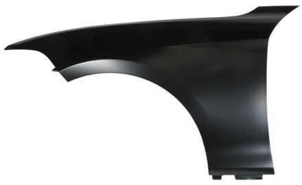 BMW Spatbord 6504040086311P