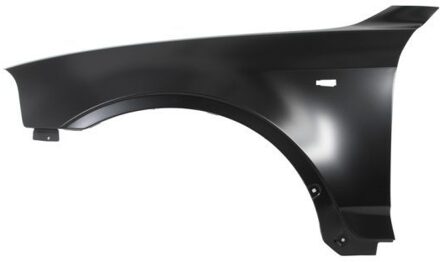 BMW Spatbord 6504040093311P