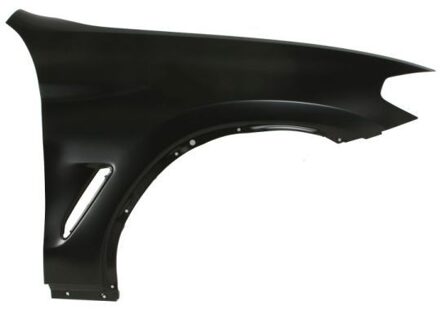 BMW Spatbord 6504040097314P