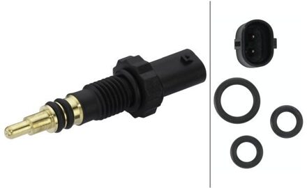 BMW Temperatuursensor 6PT013113241