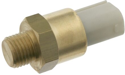 BMW Thermische Schakelaar