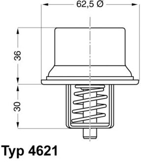 BMW Thermostaat 462180D