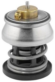 BMW Thermostaat, koelvloeistof 41225388D