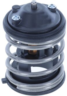 BMW Thermostaat, koelvloeistof 54487InsK