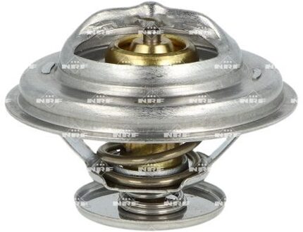 BMW Thermostaat, koelvloeistof 725071