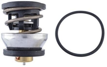 BMW Thermostaat, koelvloeistof TX49091D