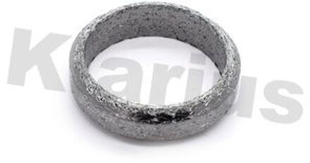 BMW Uitlaatpakking 410138