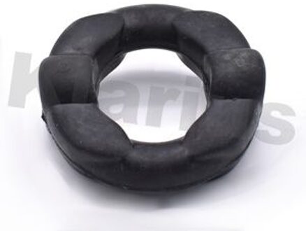 BMW Uitlaatrubber 420063