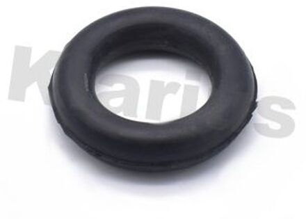 BMW Uitlaatrubber 420168