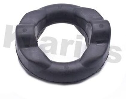 BMW Uitlaatrubber 420318