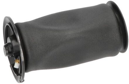 BMW Veerbalg, luchtvering SAS10005