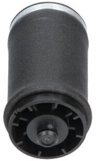 BMW Veerbalg, luchtvering SAS10034